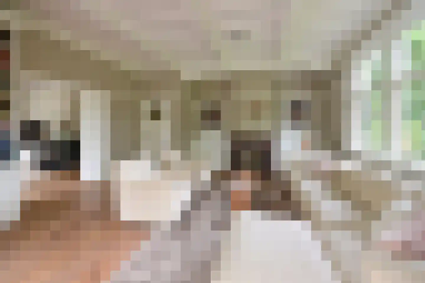 Ericaweg 2 Huizen thumbnail 6