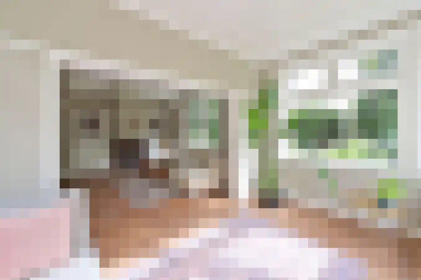 Ericaweg 2 Huizen thumbnail 7