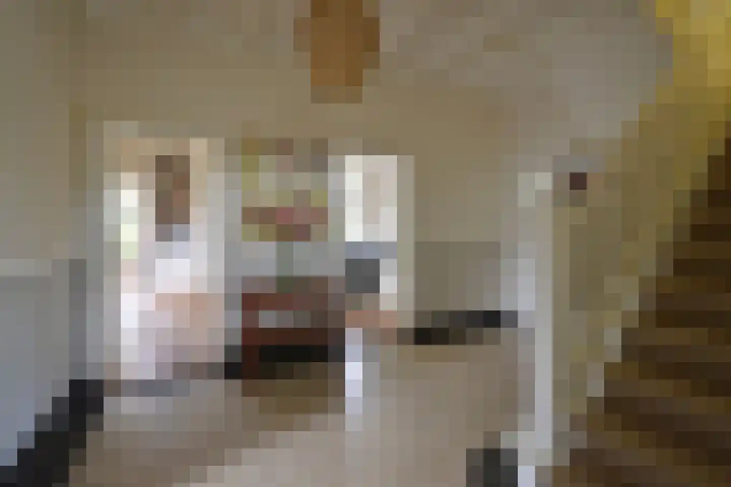 Ericaweg 2 Huizen thumbnail 8