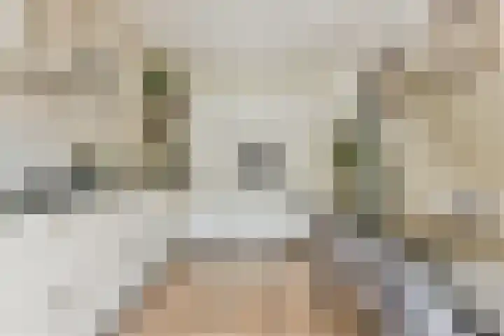 Ericaweg 23 Laren thumbnail 12