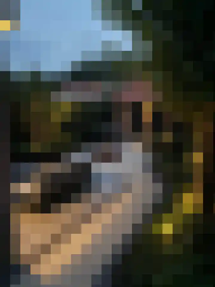 Ericaweg 23 Laren thumbnail 36
