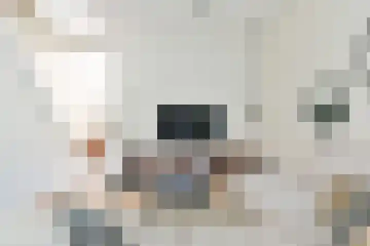 Ericaweg 23 Laren thumbnail 5