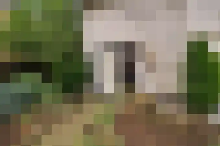 Ericaweg 24 Someren thumbnail 15