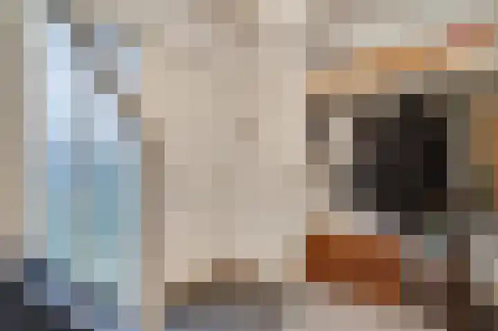 Ericaweg 24 Someren thumbnail 18