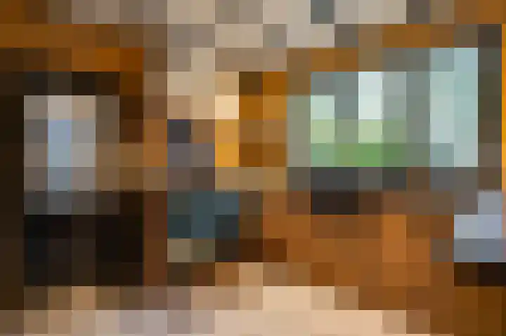 Ericaweg 24 Someren thumbnail 19
