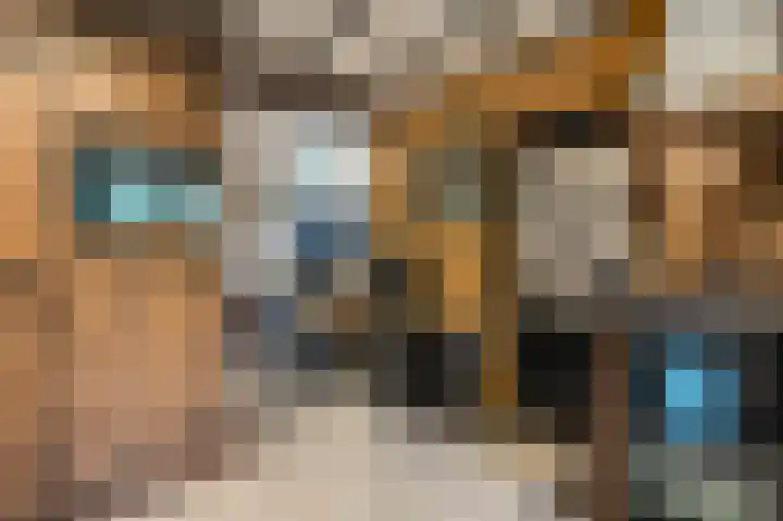 Ericaweg 24 Someren thumbnail 22