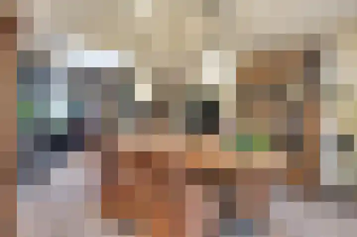 Ericaweg 24 Someren thumbnail 27