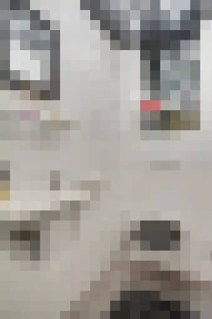 Ericaweg 24 Someren thumbnail 31