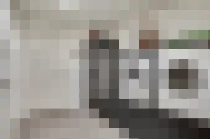Ericaweg 24 Someren thumbnail 32