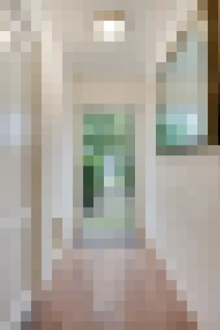 Ericaweg 24 Someren thumbnail 36