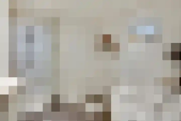 Ericaweg 24 Someren thumbnail 37