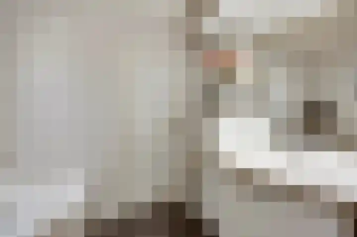 Ericaweg 24 Someren thumbnail 38