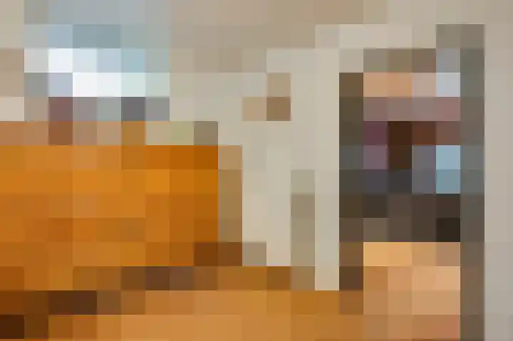 Ericaweg 24 Someren thumbnail 39