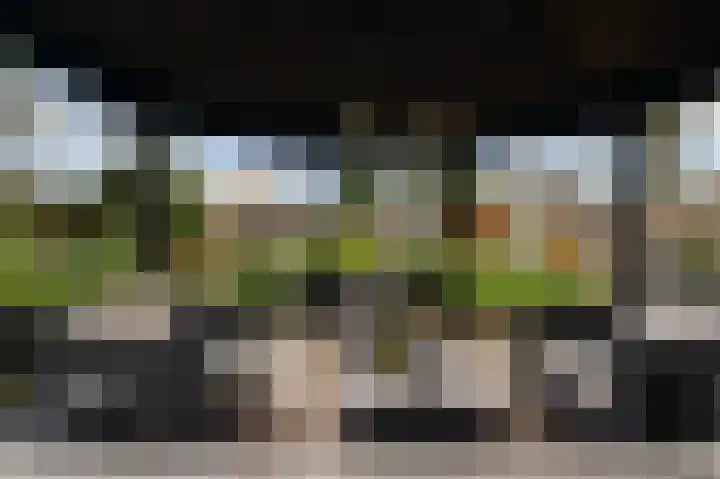 Ericaweg 24 Someren thumbnail 4
