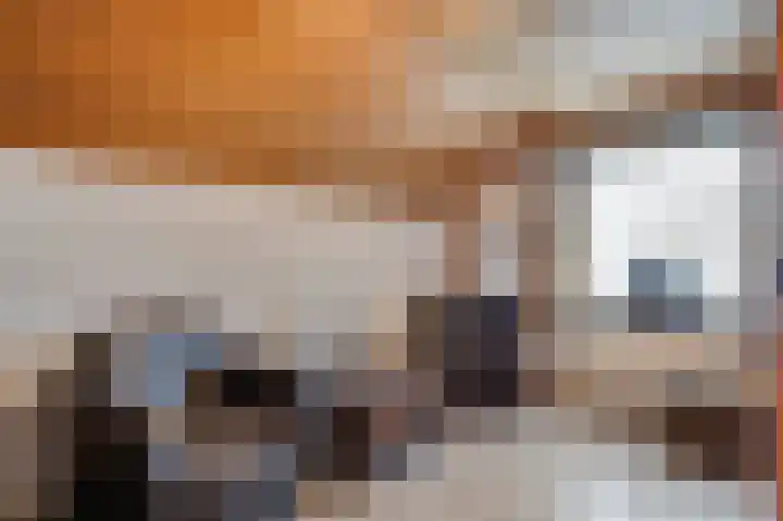 Ericaweg 24 Someren thumbnail 44
