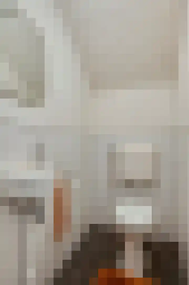 Ericaweg 24 Someren thumbnail 48