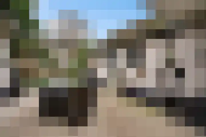 Ericaweg 24 Someren thumbnail 50