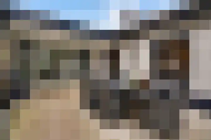 Ericaweg 24 Someren thumbnail 51