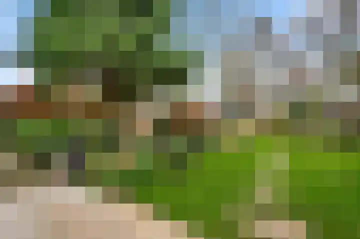 Ericaweg 24 Someren thumbnail 52