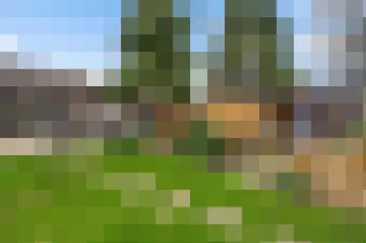 Ericaweg 24 Someren thumbnail 53
