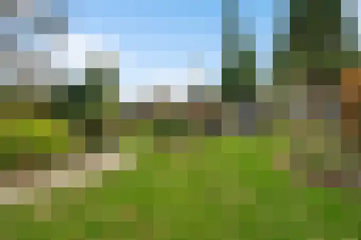 Ericaweg 24 Someren thumbnail 54