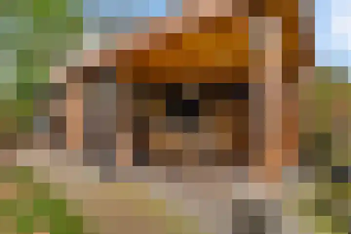 Ericaweg 24 Someren thumbnail 6