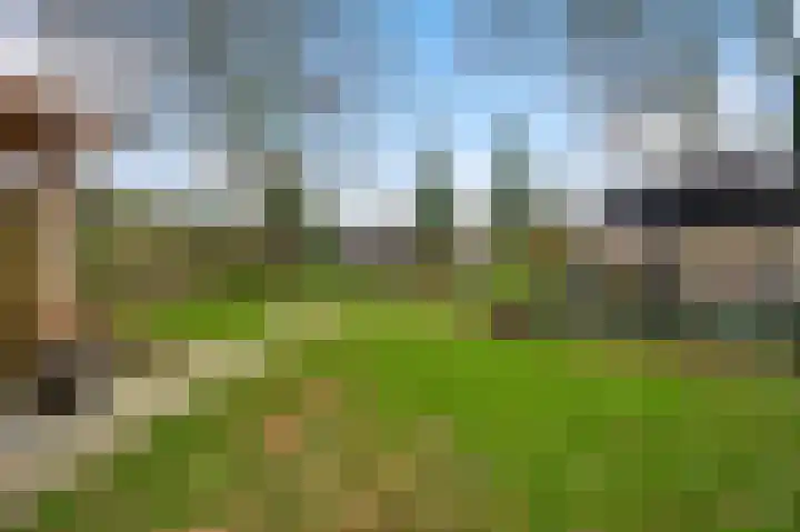Ericaweg 24 Someren thumbnail 8
