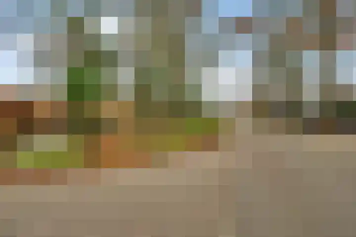 Ericaweg 24 Someren thumbnail 9