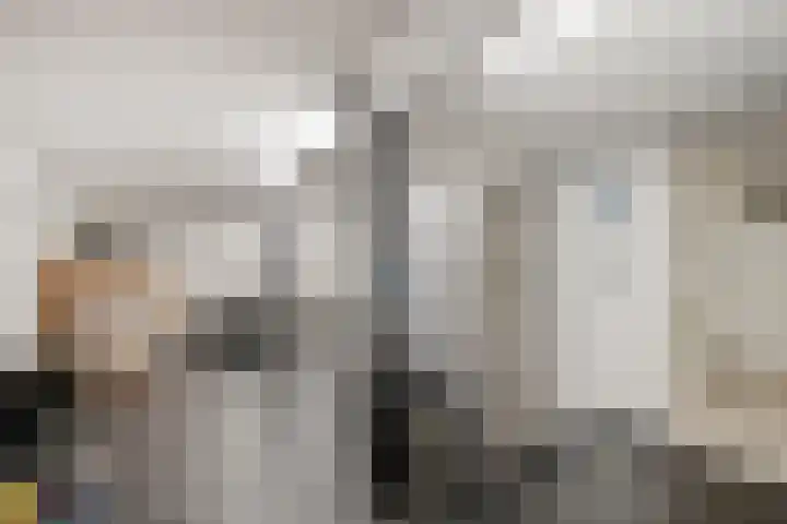 Ericaweg 32 Nijverdal thumbnail 28