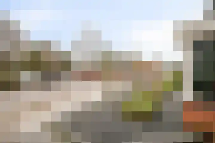 Ericaweg 32 Nijverdal thumbnail 36