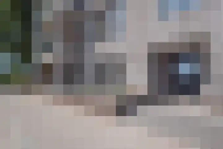 Ericaweg 42 Stroe thumbnail 27