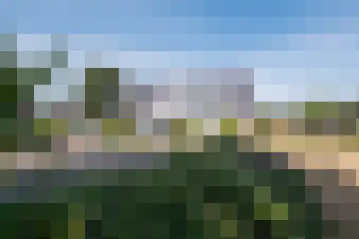 Ericaweg 42 Stroe thumbnail 29