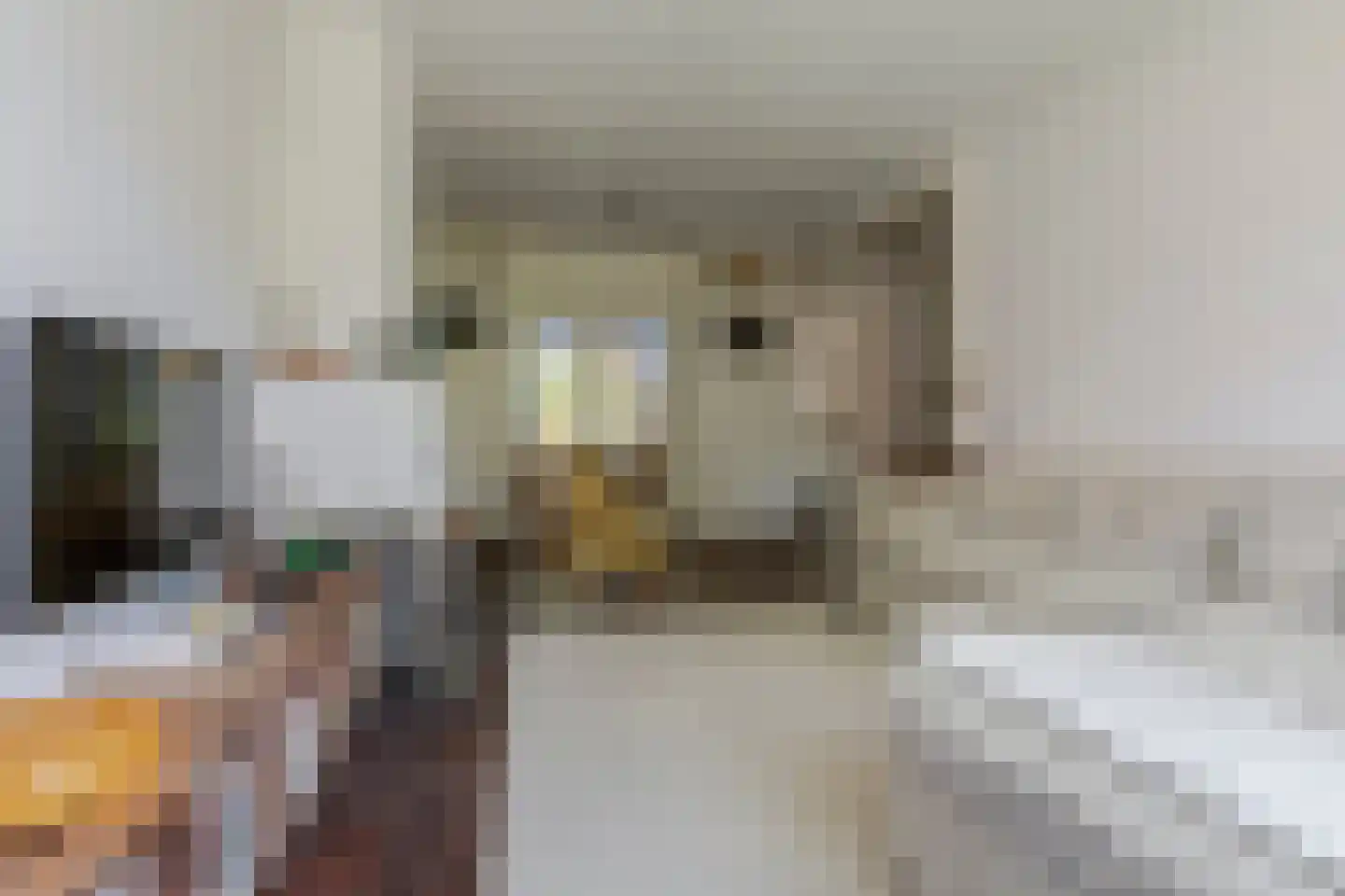 Ericaweg 51 Laren thumbnail 11