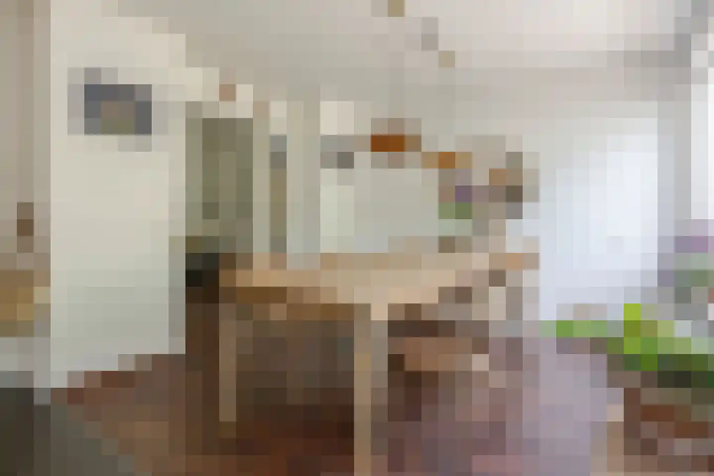 Ericaweg 51 Laren thumbnail 14