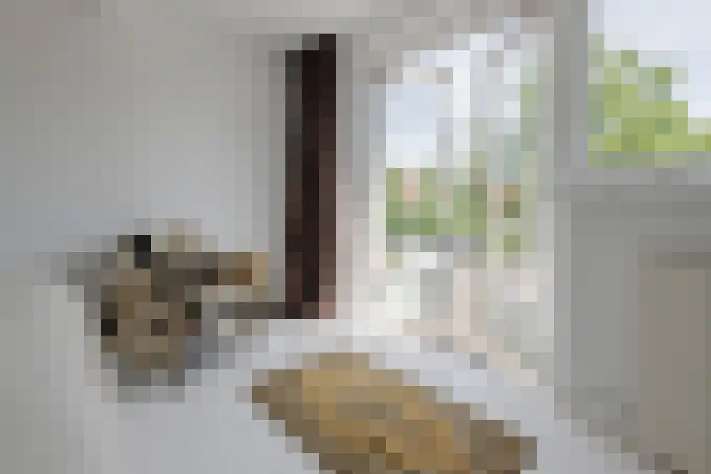 Ericaweg 51 Laren thumbnail 24