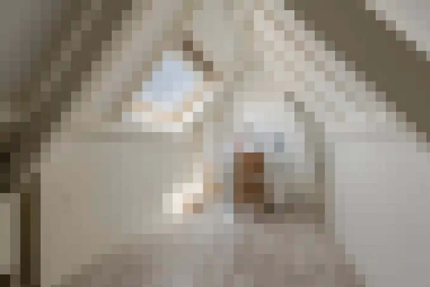 Ericaweg 51 Laren thumbnail 31
