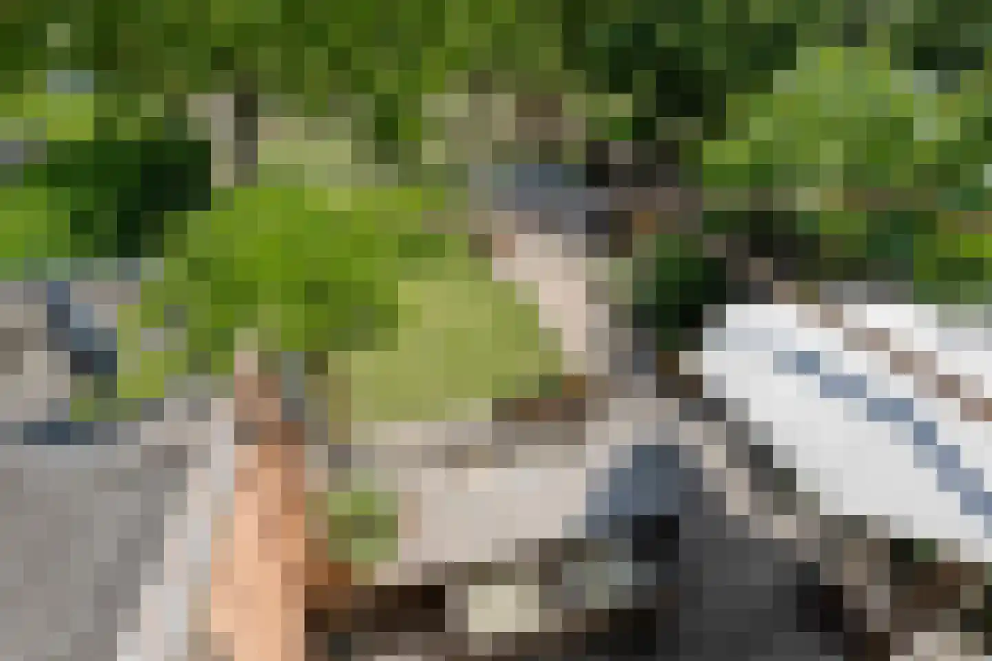 Ericaweg 51 Laren thumbnail 33