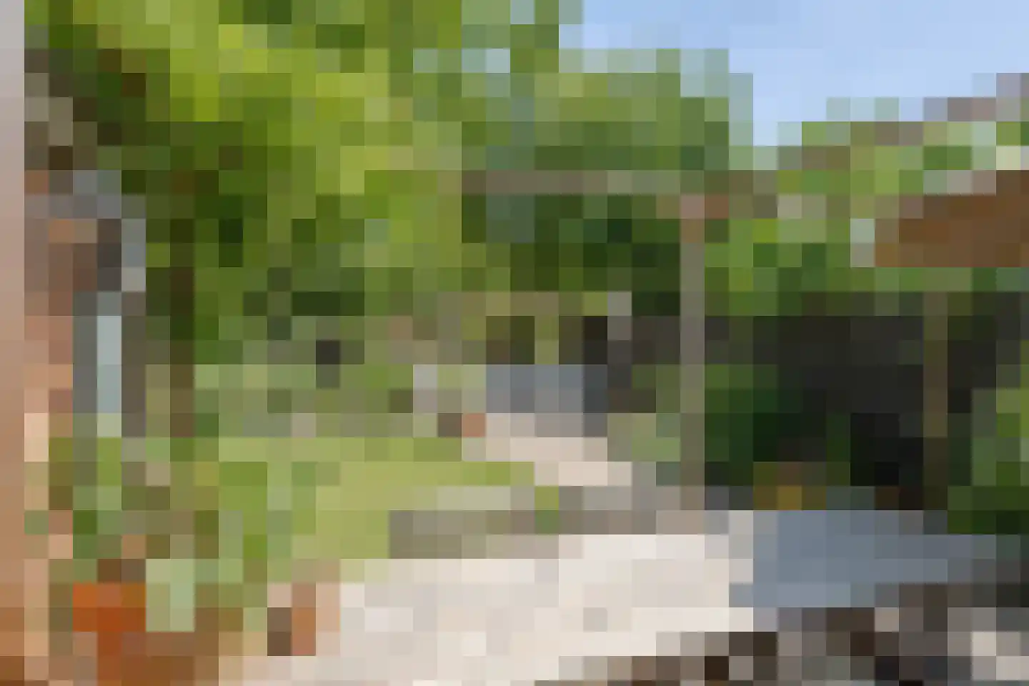 Ericaweg 51 Laren thumbnail 36