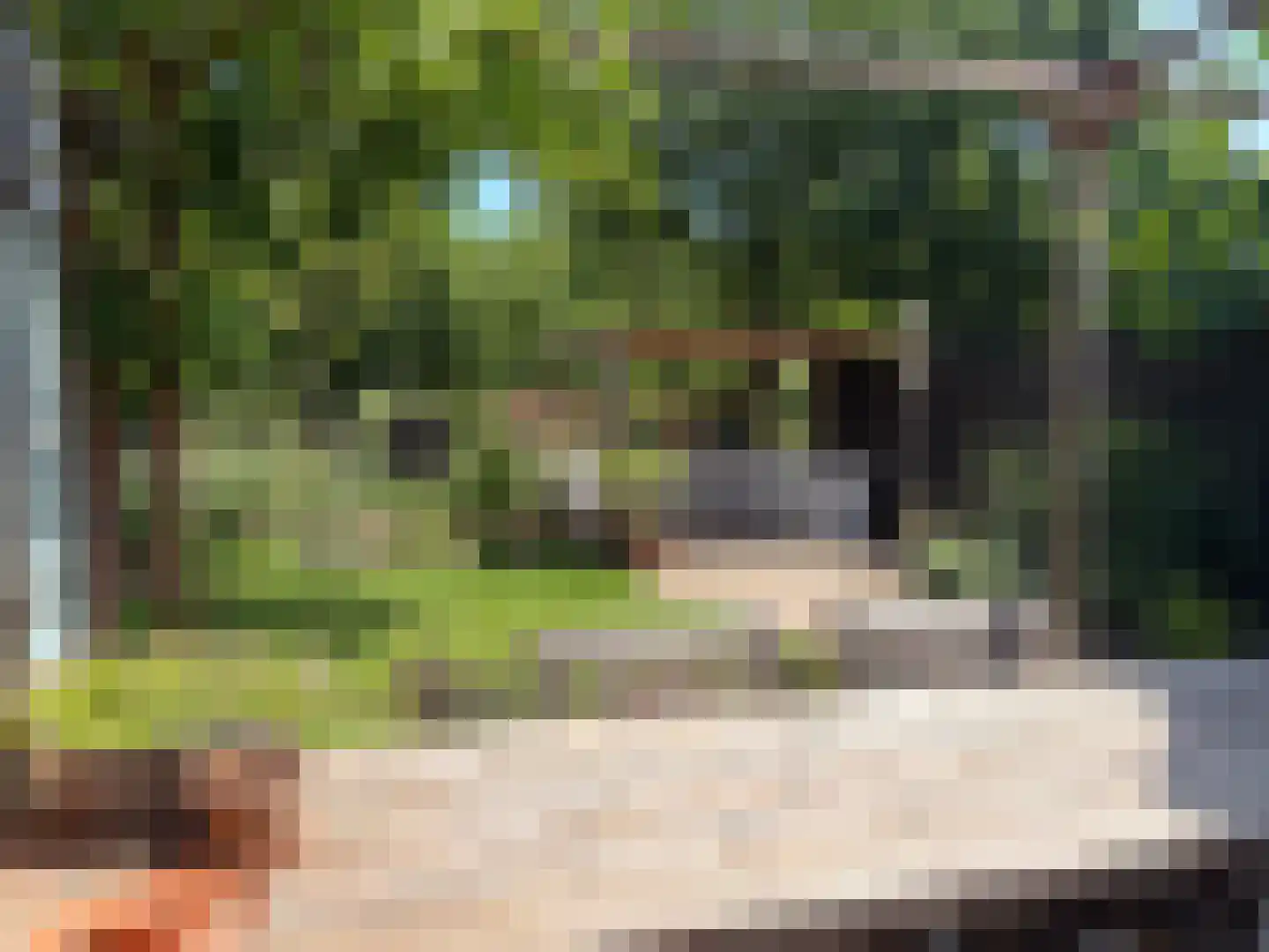Ericaweg 51 Laren thumbnail 37