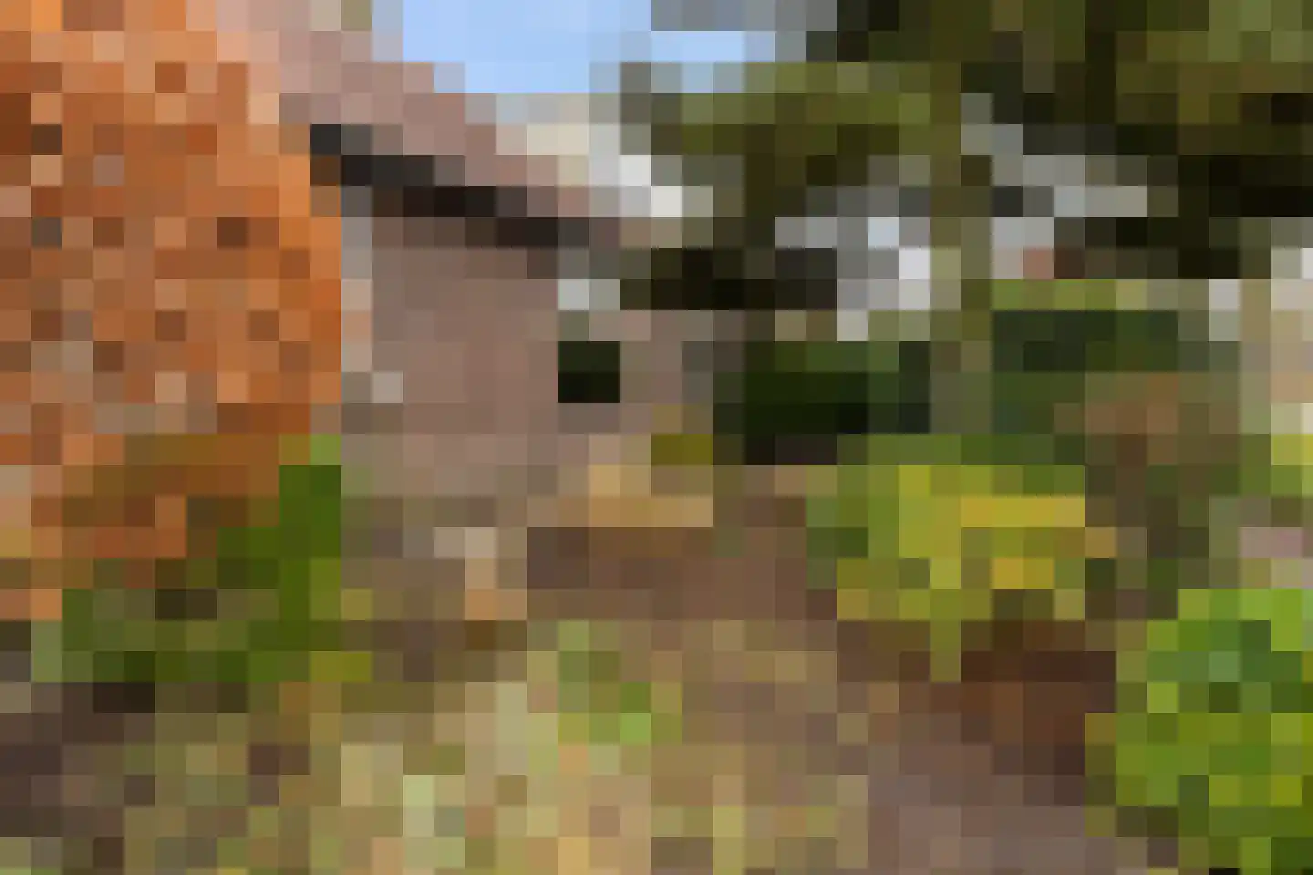 Ericaweg 65 Laren thumbnail 4