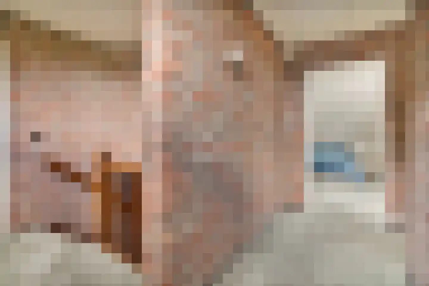 Ericaweg 76 Nijverdal thumbnail 29