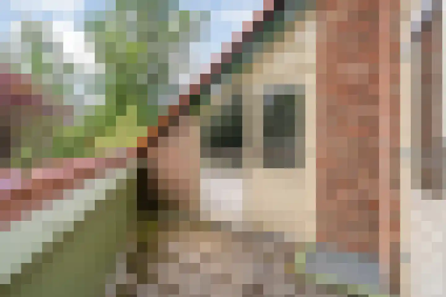 Ericaweg 76 Nijverdal thumbnail 33