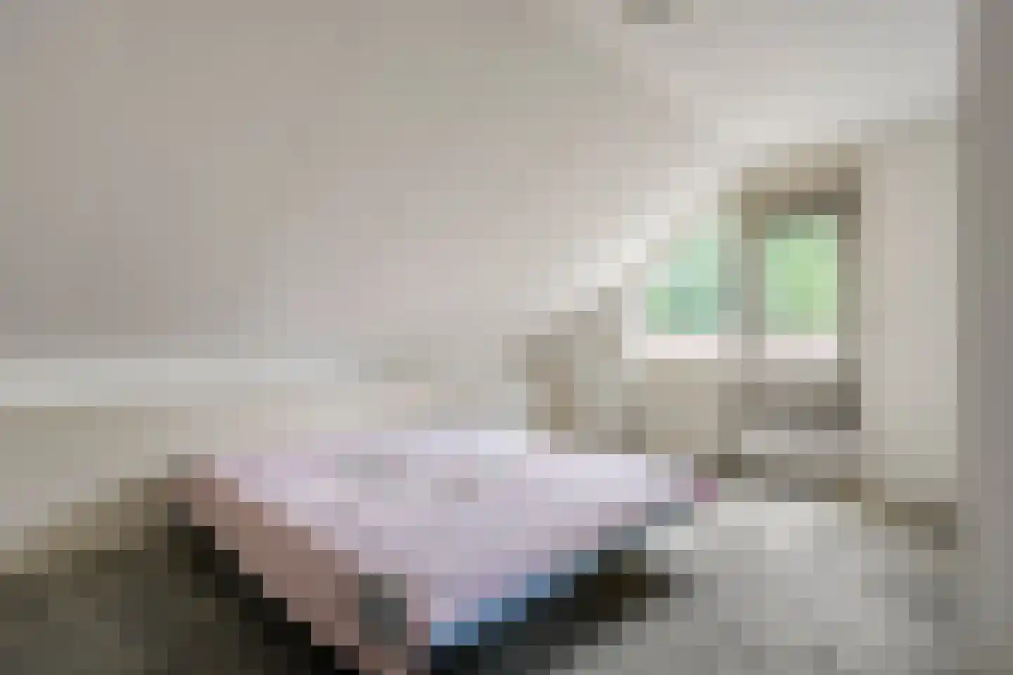 Ericaweg 76 Nijverdal thumbnail 35