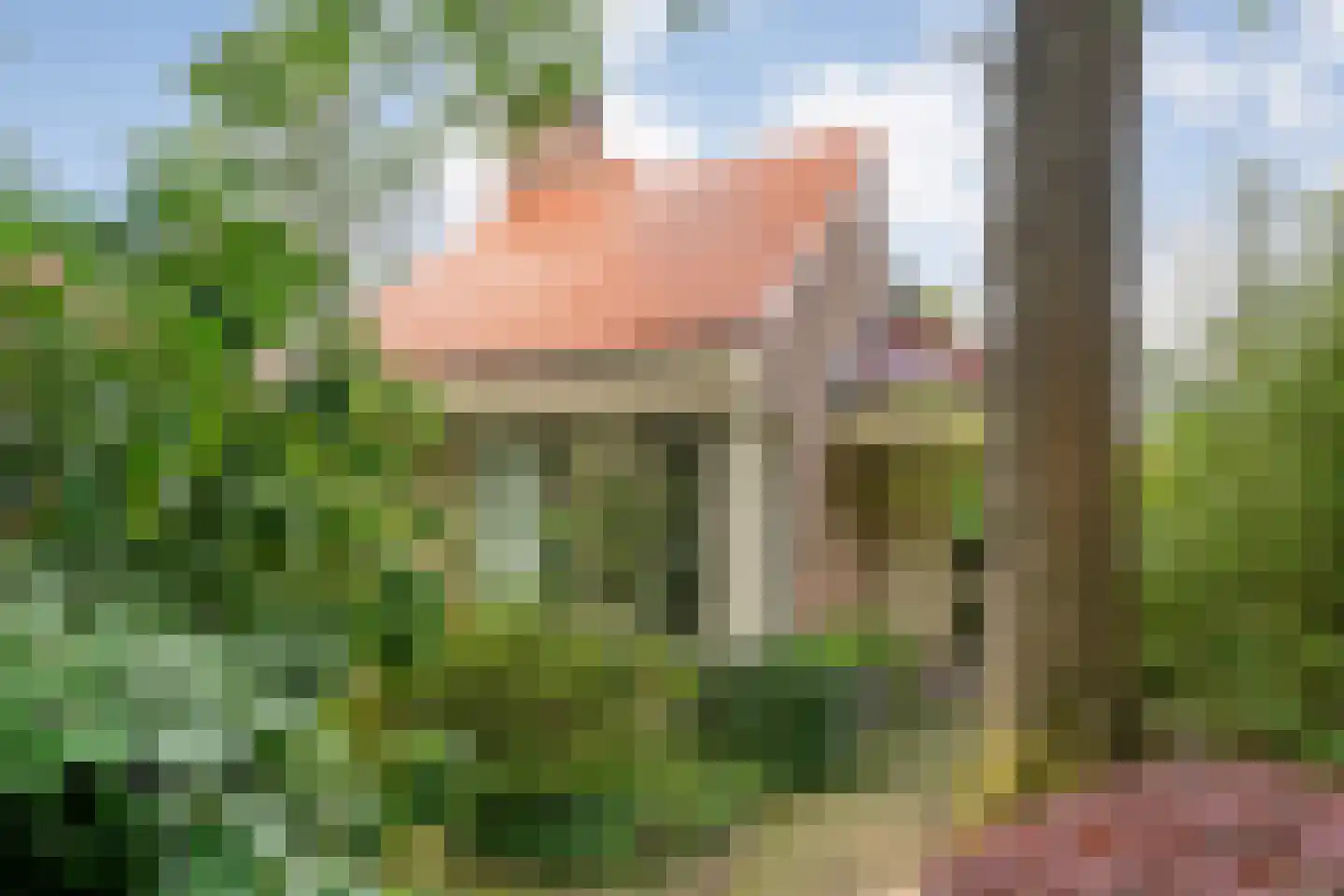 Ericaweg 76 Nijverdal thumbnail 4