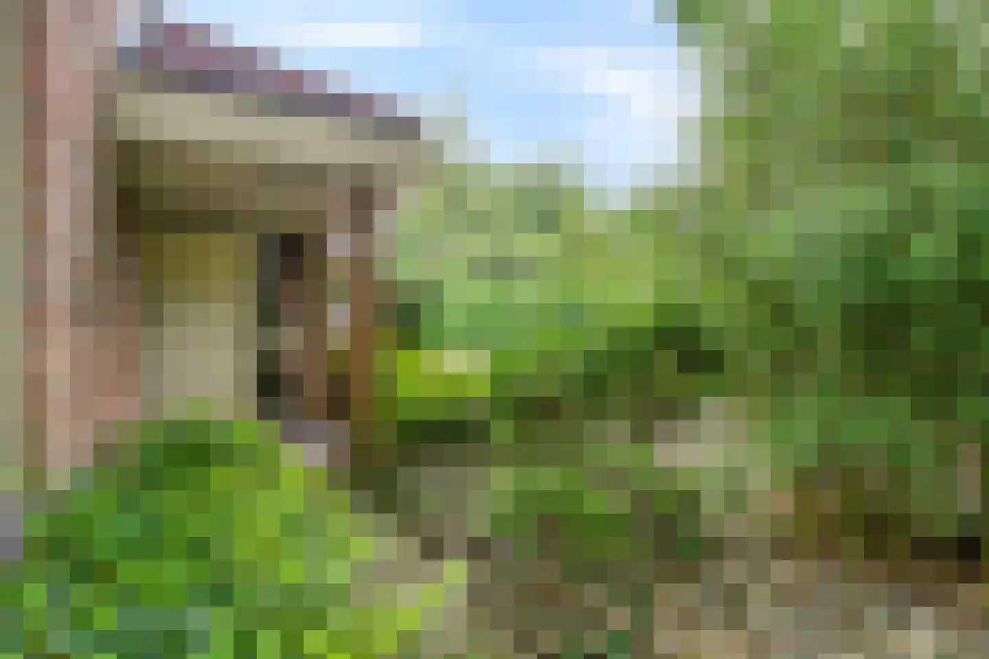 Ericaweg 76 Nijverdal thumbnail 5