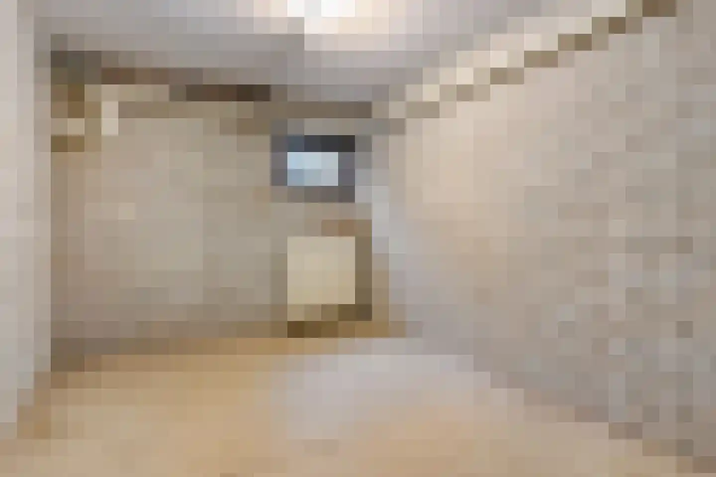 Ericaweg 76 Nijverdal thumbnail 54