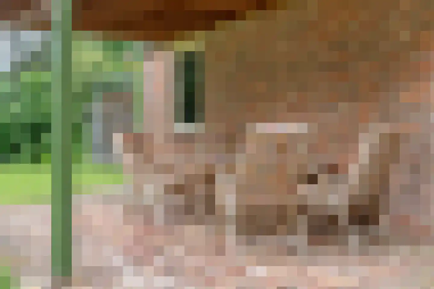 Ericaweg 76 Nijverdal thumbnail 61