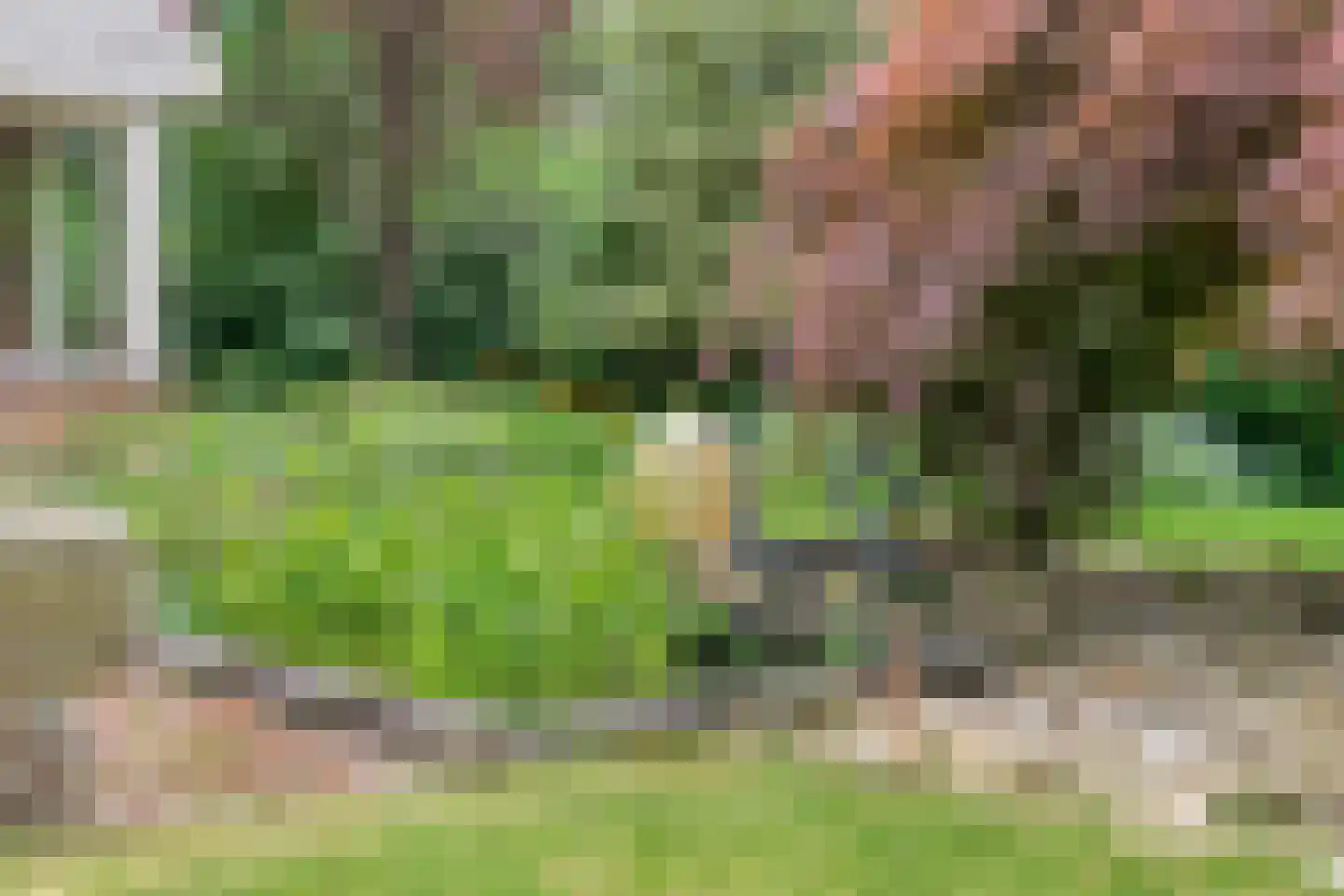 Ericaweg 76 Nijverdal thumbnail 65