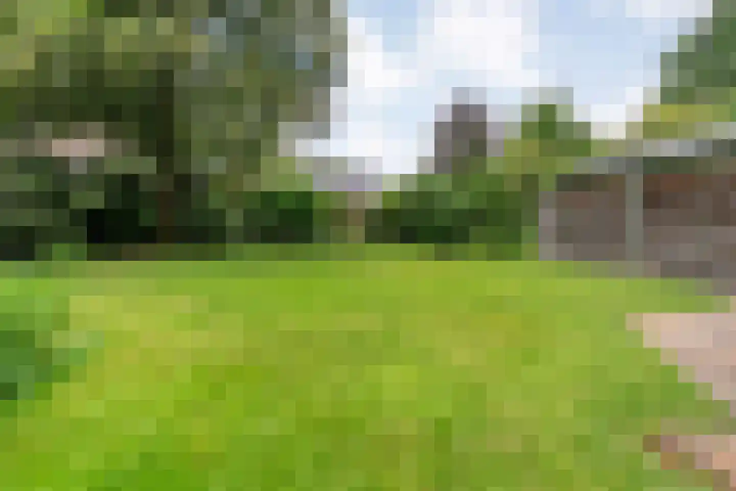 Ericaweg 76 Nijverdal thumbnail 71