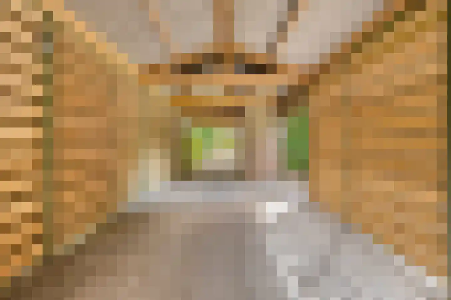 Ericaweg 76 Nijverdal thumbnail 72